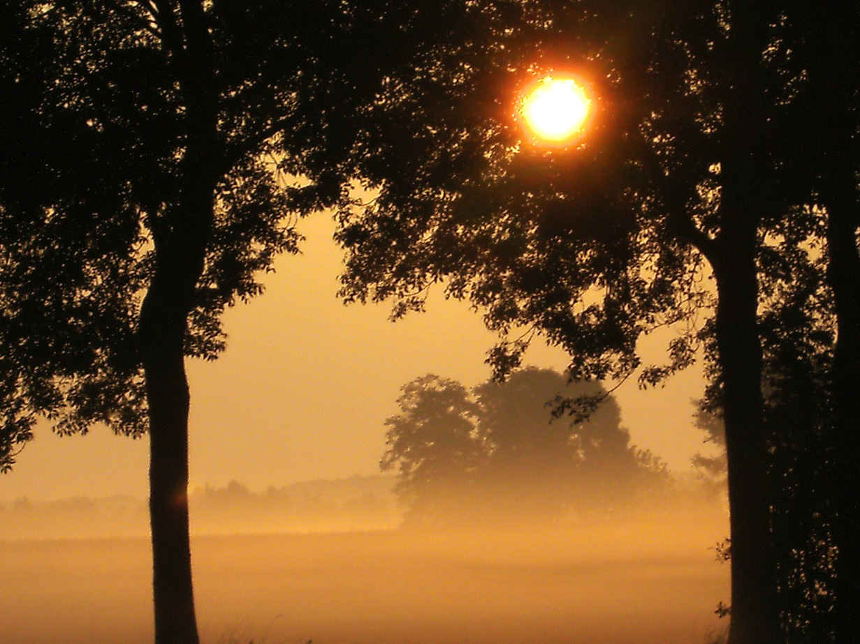 Groepsaccommodatie De Vreman - uitzicht terras ondergaande zon